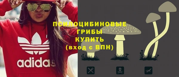 индика Баксан