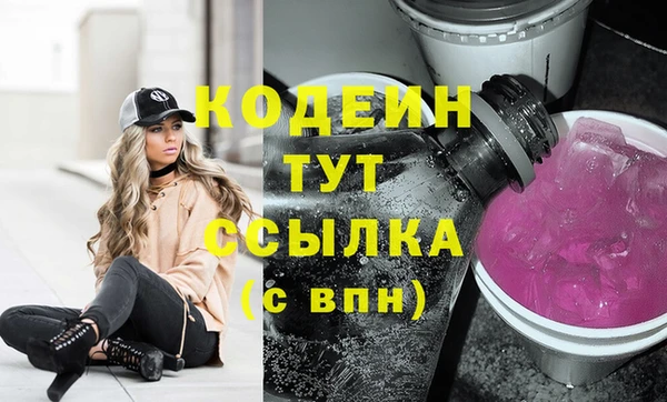 индика Баксан