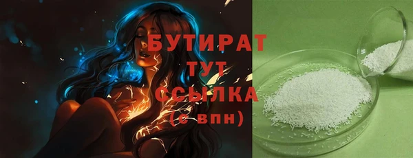 индика Арсеньев