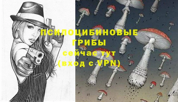 индика Баксан