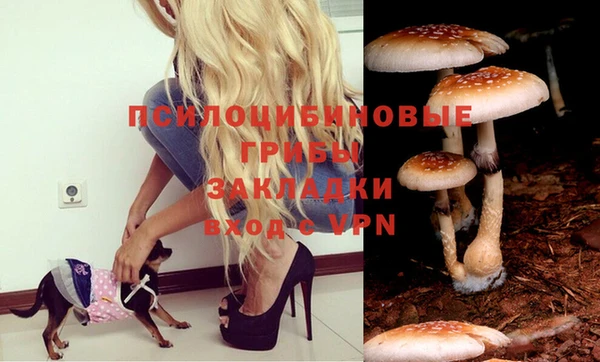 индика Баксан