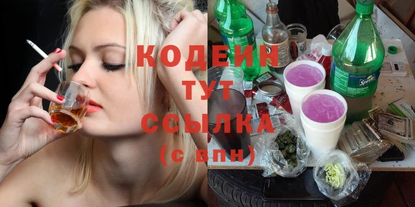 индика Баксан