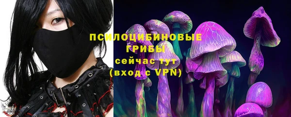 индика Баксан