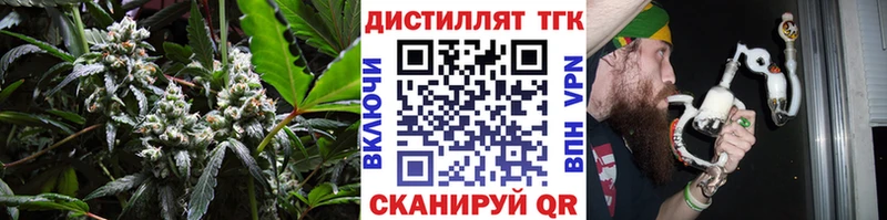 мориарти Telegram  Новоузенск  ТГК Wax 