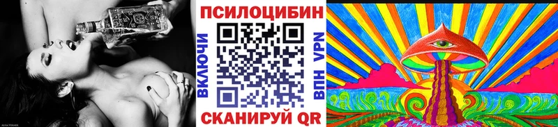 hydra ссылки  где можно купить   Новоузенск  Галлюциногенные грибы Psilocybe 